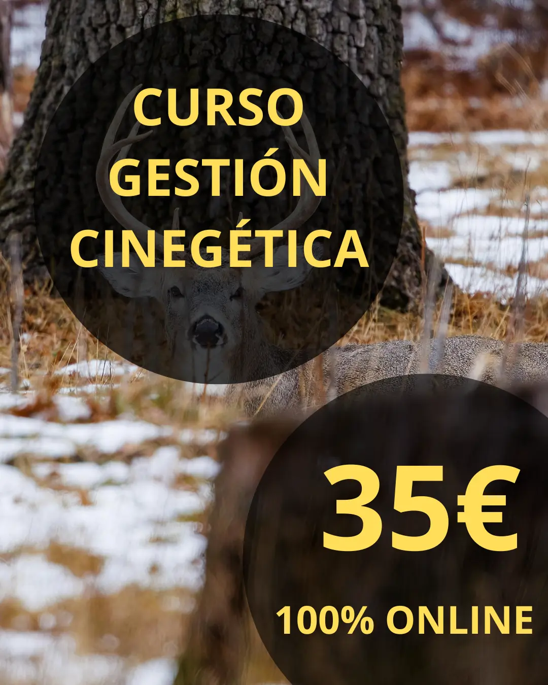 CURSO GESTIÓN CINEGÉTICA